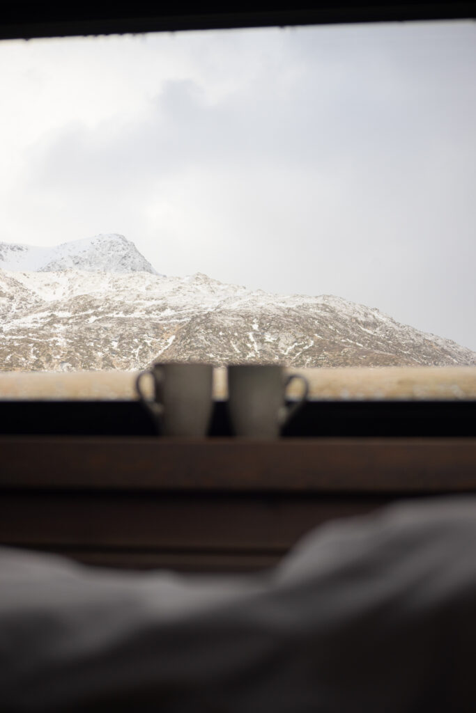 DSxHEIM-38 2 cups bu the window