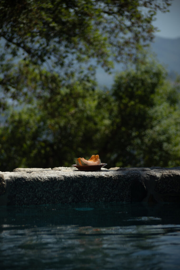 DSxJAV-18 Watermelon by the pool